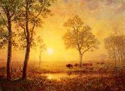 Albert Bierstadt Sunset on the Mountain France oil painting artist